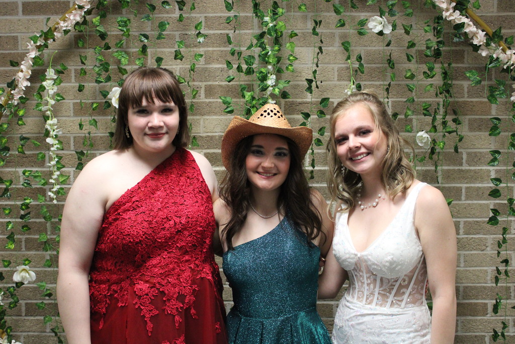 Senior ladies at Prom! 